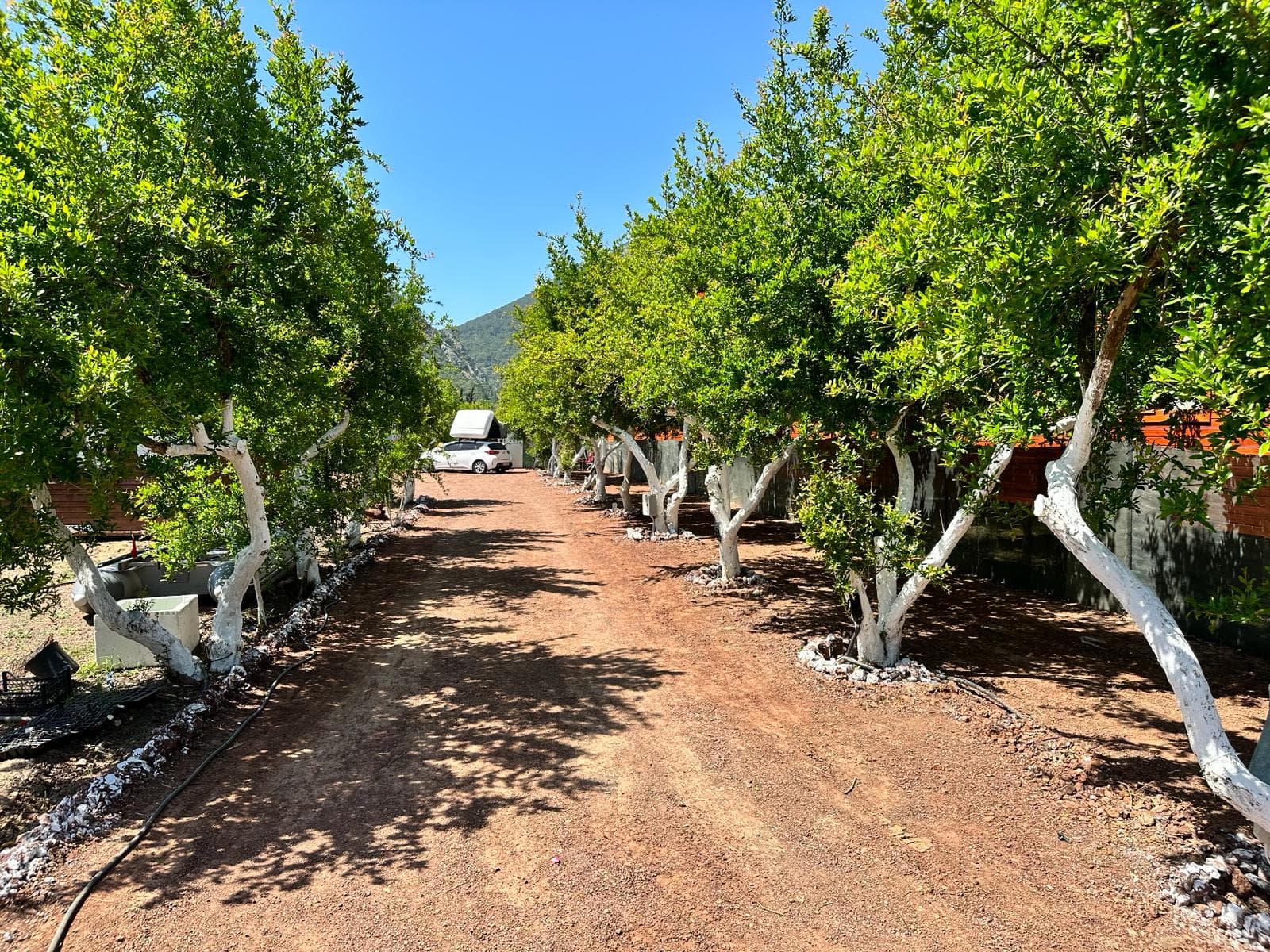 Adrasan GÖLGE CAMPİNG