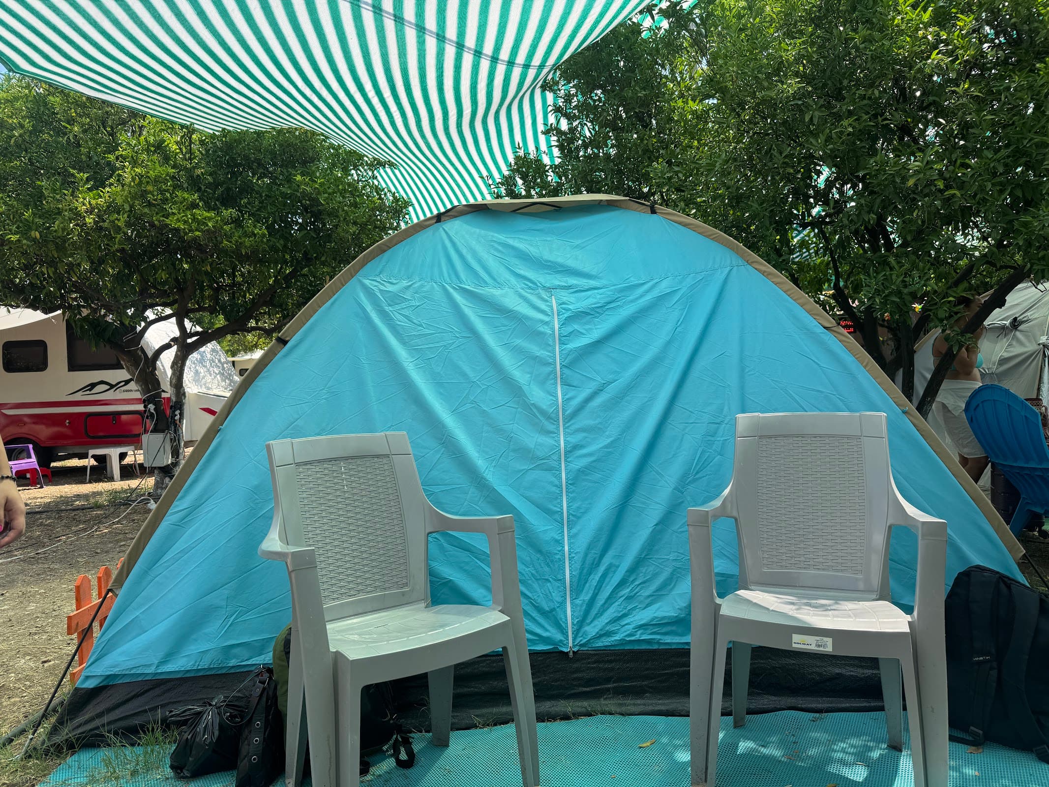 Çekirdeksiz Mandalin Camping Kemer Antalya Çadır Karavan Kamp Alanı